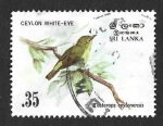 Sellos de Asia - Sri Lanka -  692 - Anteojitos Cingalés