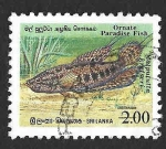 Stamps : Asia : Sri_Lanka :  978 - Pez del Paraíso Adornado