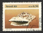 Stamps : America : Brazil :  2205 - Voluta Hebrea