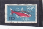 Stamps Germany -  PEZ