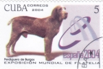 Stamps Cuba -  PERROS DE RAZA