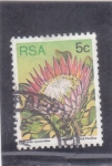 Stamps : Africa : South_Africa :  captus