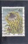 Stamps South Africa -  captus