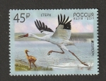 Stamps Russia -  8001 - Gruya de Siberia