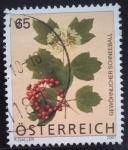Sellos de Europa - Austria -  Austria