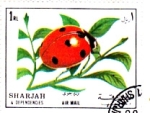 Stamps Asia - United Arab Emirates -  mariquita