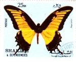 Stamps : Asia : United_Arab_Emirates :  Mariposa