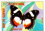 Stamps Africa - Equatorial Guinea -  Mariposa
