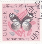 Stamps Africa - Guinea -  Mariposa