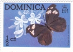 Stamps America - Dominica -  Mariposa