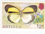 Stamps America - Antigua and Barbuda -  Mariposa