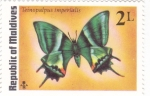 Stamps : Asia : Maldives :  Mariposa