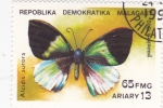 Stamps Africa - Madagascar -  Mariposa