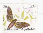 Sellos de Asia - Emiratos �rabes Unidos -  Mariposa