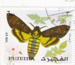 Stamps Asia - United Arab Emirates -  Mariposa