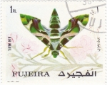 Stamps United Arab Emirates -  Mariposa