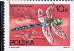 Stamps Europe - Poland -  Mariposa