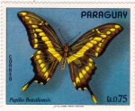 Stamps America - Paraguay -  Mariposa