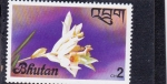 Stamps Asia - Bhutan -  FLORES