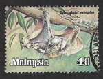 Stamps Asia - Malaysia -  176 - Galeopiteco