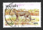 Stamps Africa - Malawi -  583 - Guepardo