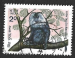 Stamps India -  1030 - Mono León