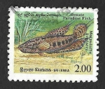 Stamps : Asia : Sri_Lanka :  978 - Pez del Paraíso Adornado