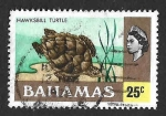 Sellos de America - Bahamas -  400 - Tortuga Carey