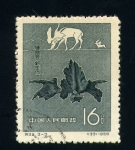 Stamps China -  serie- Restos fosiles