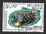 Stamps : Europe : Belgium :  B833 - Pez Ángel de Cola Dorada