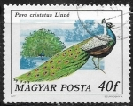 Stamps Hungary -  Aves - Pavo cristatus