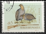 Stamps : Europe : Hungary :  Aves - Perdix perdix
