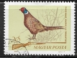 Stamps : Europe : Hungary :  Aves - Phasianus colchicus