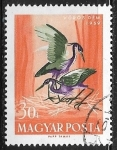 Stamps : Europe : Hungary :  Aves - Ardea purpurea