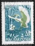 Stamps : Europe : Hungary :  Aves - (Egretta garzetta)