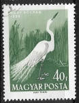 Stamps : Europe : Hungary :  Aves - Ardea alba