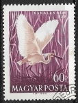 Stamps : Europe : Hungary :  Aves - Platalea leucorodia