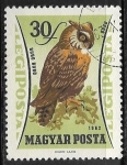 Stamps : Europe : Hungary :  Aves -(Bubo bubo)