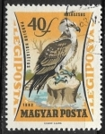 Stamps Hungary -  Aves - Pandion haliaetus