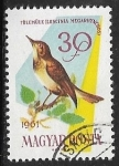 Stamps : Europe : Hungary :  Aves - Luscinia megarhynchos