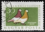 Stamps : Europe : Hungary :  Aves . Komorn Tumbler 