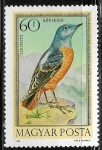 Stamps : Europe : Hungary :  Aves - Monticola saxatilis