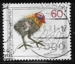 Stamps : Europe : Germany :  Aves - 