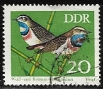 Stamps Germany -  Aves - 