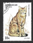 Stamps : Asia : Azerbaijan :  464 - Gato Salvaje Africano