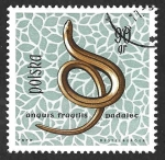 Stamps Poland -  1138 - Lución