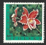 Stamps Europe - Poland -  1581 - Odontonia