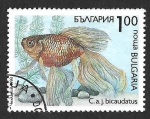 Stamps Bulgaria -  3766 - Pez Dorado