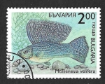 Stamps Bulgaria -  3767 - Molly de Vela