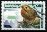 Stamps : Asia : Cambodia :  Ruiseñor de Japón